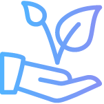 Virtual Observatory Icon